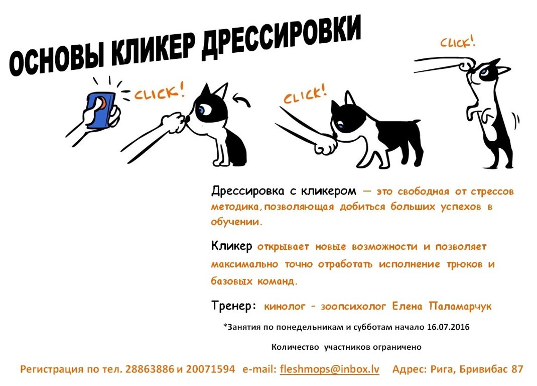 Собакам как пользоваться. Дрессировка с кликером. Дрессировка собак кликером. Метод наведения в дрессировке собак.